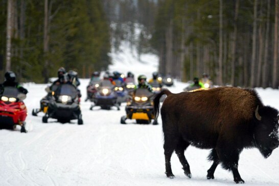Lottery planned for Yellowstone snowmobile tags
