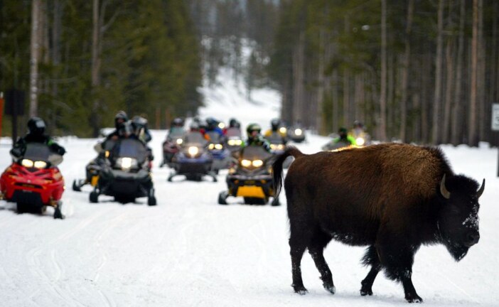 Lottery planned for Yellowstone snowmobile tags